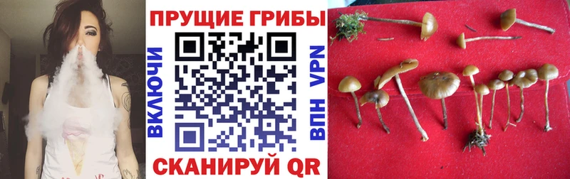 Галлюциногенные грибы MAGIC MUSHROOMS  Купить где  Кропоткин 